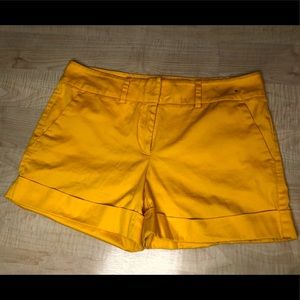 Sunflower Yellow Shorts
